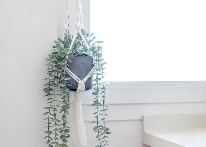 Vila Beachfront Medano & Infinity Jacuzzi & Warm Pool