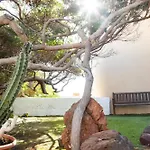 Villa Beachfront Medano & Infinity Jacuzzi & Warm Pool El Médano
