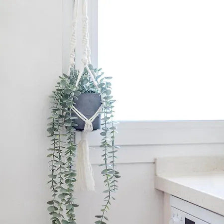 Villa Beachfront Medano & Infinity Jacuzzi & Warm Pool