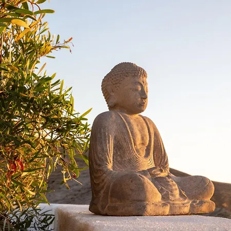 Beachfront Medano & Infinity Jacuzzi & Warm Pool Villa El Medano (Tenerife)