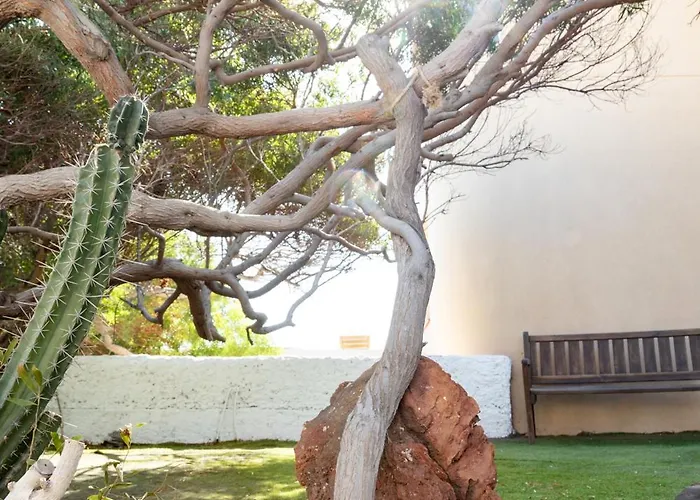 Villa Beachfront Medano & Infinity Jacuzzi & Warm Pool El Médano